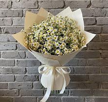 Букет цветов из:  Ромашки #REPLACE_PRED# Базарный Сызган