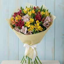 Букет цветов из:  Альстромерии в Базарный Сызган