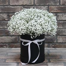 Цветочная композиция из Гипсофила в шляпной коробке #REPLACE_PRED# Базарный Сызган