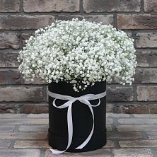 Цветочная композиция из Гипсофила в шляпной коробке в Базарный Сызган