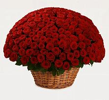 Премиум букет из: Розы в Базарный Сызган