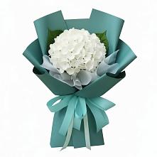 Букет цветов из:  Гортензия в Базарный Сызган